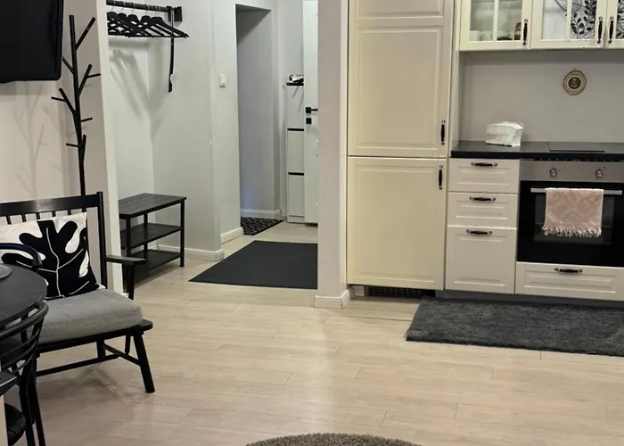 Located Old Town * فيلنيوس